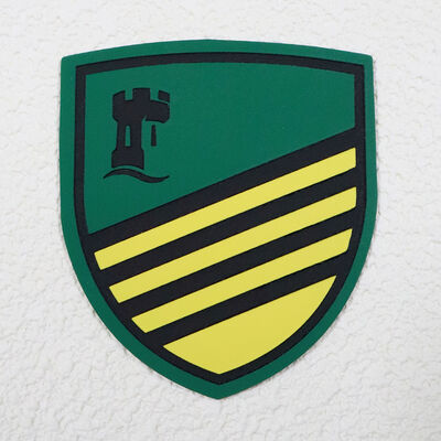 맞춤식 실리콘 스크린 인쇄 라벨 체육복 및 유니폼을위한 방수 내구성 로고 태그